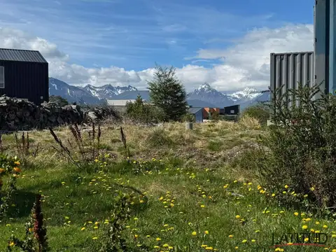 Escaladores del Susana al 4100