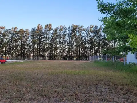 Lucio V. Mansilla 8000