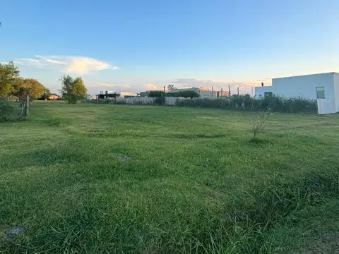 René Favaloro  al 1500