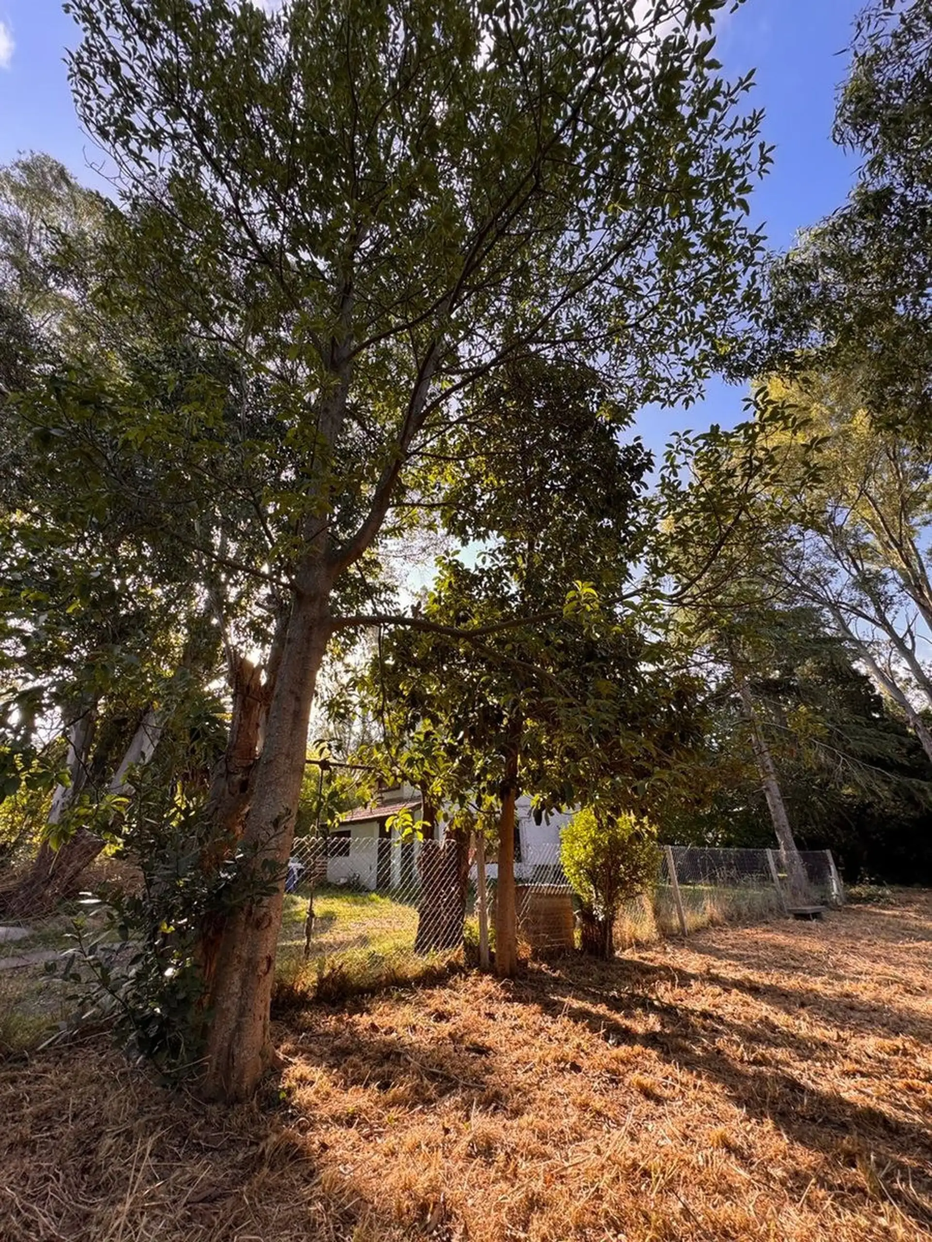 Venta Lote Barrio Santa Celina - 600 m 2