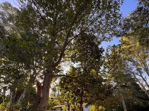 Terreno en Venta en Santa Celina, USD 22.000