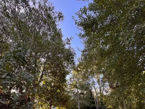 Terreno en Venta de 600,0 m2