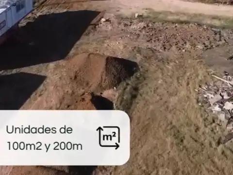 camino viejo y rosas