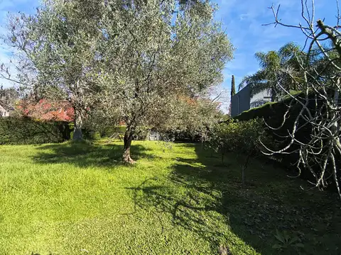 Acacias Blancas Abierto - Ing. Maschwitz