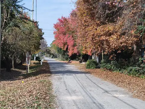 Terreno en Venta 31  mts Fondo