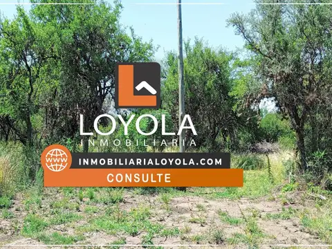 Lote de 3100m2 en Cerro de Oro Merlo San Luis