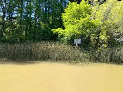 Rio o Arroyo Carapachay 16 100