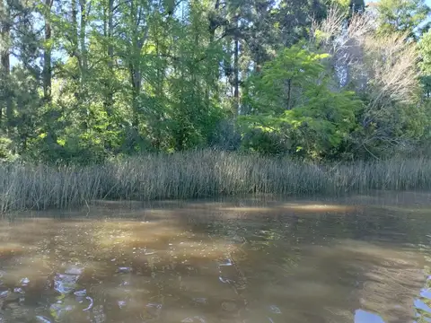 Rio o Arroyo Carapachay 16 100