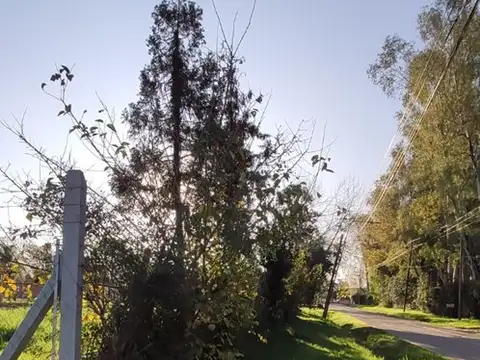 Terreno Lote  en Venta en El Talar, Tigre, G.B.A. Zona Norte