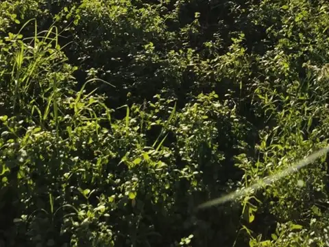 Terreno en Venta de 270,0 m2