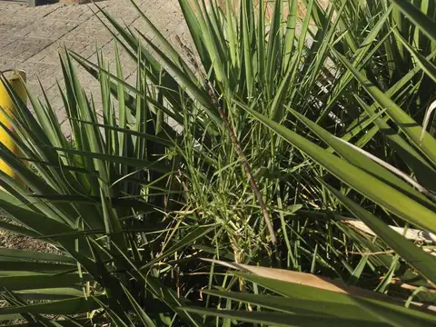 Depto Tipo Casa en Venta en Muñiz, USD 65.000