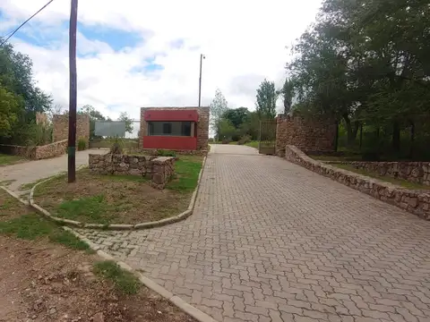 LANGORIAS S/N