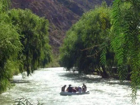 Venta de Terreno de casi 3 hectáreas sobre calle Luis Tirasso, San Rafael, Mendoza