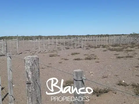 Campo  en Venta en Gobernador Duval, Curaco, La Pampa