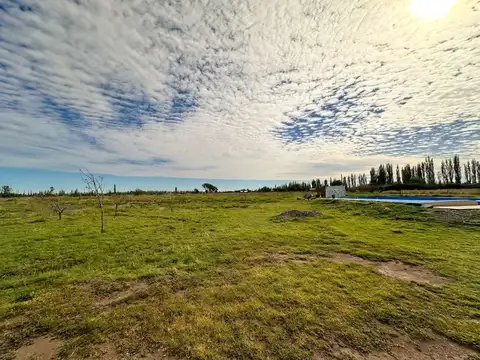 Las Mercedes 999, Mendoza, Argentina