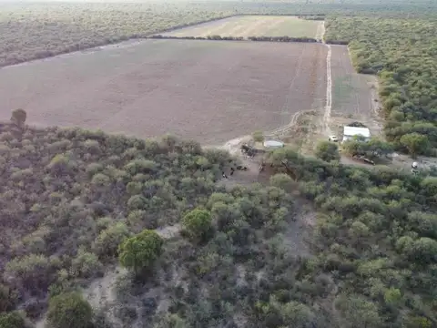 CAMPO EN VENTA 2150 HAS. GANADERO ZONA V. DOLORES
