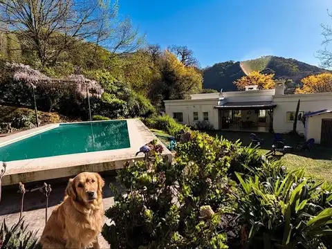 BUENA VISTA