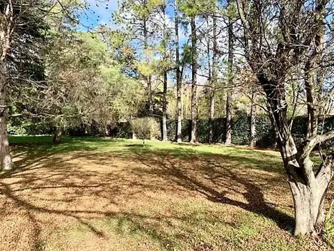 15 y 421 bis 100, Piso 0