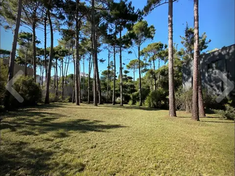 Terreno - Venta - Argentina, Pinamar