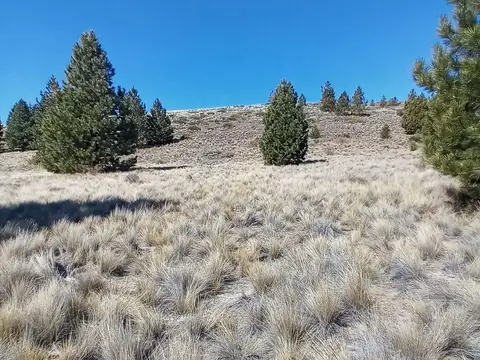 Terreno en Venta de 5000,0 m2