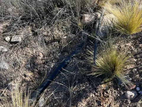 Terreno en Venta de 2000,0 m2