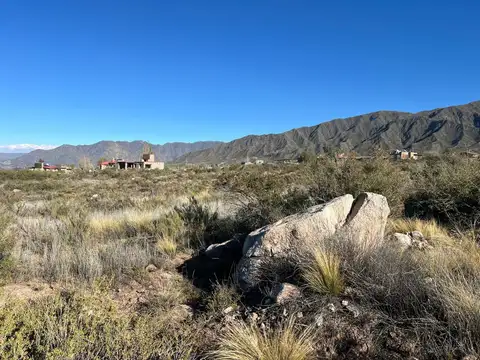 VENTA LOTE LA CRUCESITA BLANCO ENCALADA MENDOZA