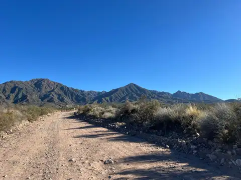 VENTA LOTE LA CRUCESITA BLANCO ENCALADA MENDOZA