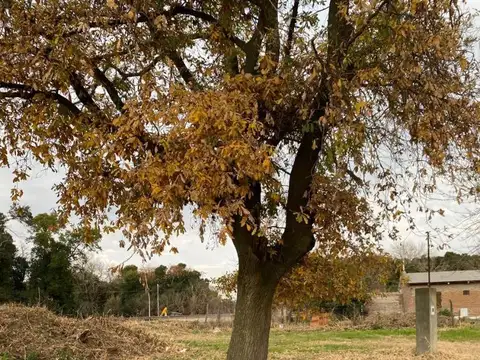 Camino Publico