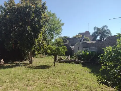 VIRGEN DE LOS ANGELES 1500