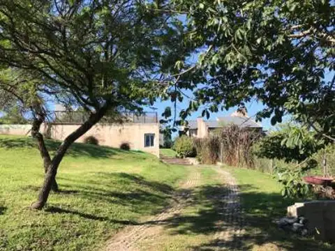 Los Talas y Los Quebrachos