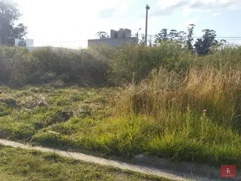 Barrio Universitario III