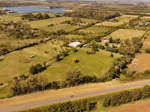 32 Has sobre Ruta 193 - Zárate