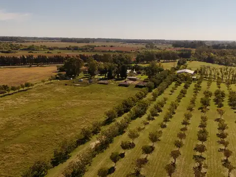 Campo en Venta Agricola