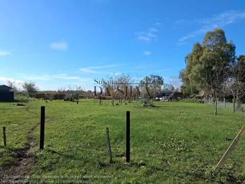 Tehuelches Y Guaranies