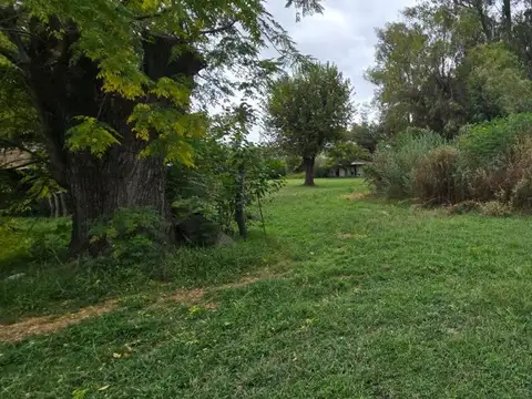 Alquiler complejo y terreno + galpon industrial