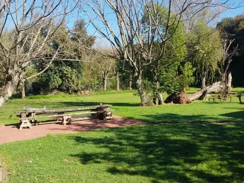 Fracción de Terreno de 3 Hectáreas, apto para Loteo!