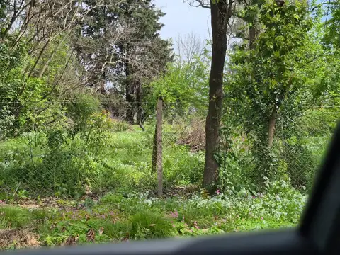 Terreno en Venta de 2500,0 m2