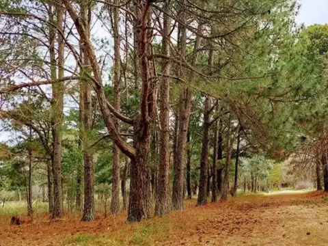 Terreno en Venta de 1603,0 m2
