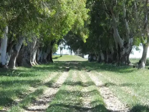 Terreno en Venta de 1603,0 m2