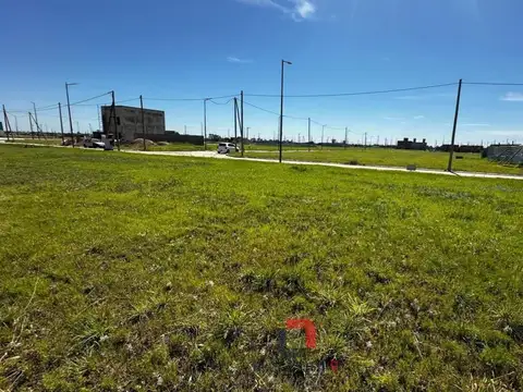 Terreno en Venta de 250,0 m2