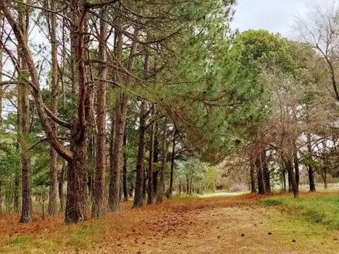 Terreno en Venta de 1860,0 m2