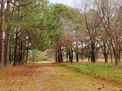 Terreno en Venta de 1860,0 m2