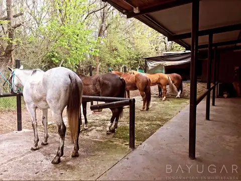 Oportunidad Única – Venta de Caballerizas y Lote en San Jorge Chico, General Rodríguez