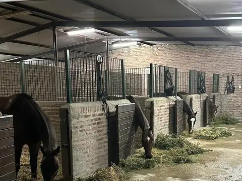 (A) - Oportunidad Única – Venta de Caballerizas y Lote  en San Jorge Chico, General Rodríguez