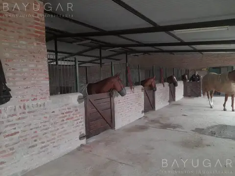 Terreno en Venta de 800,0 m2