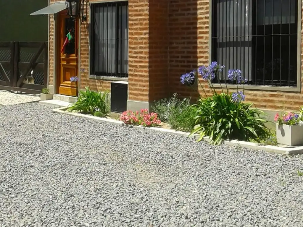 Casuarinas 4 100