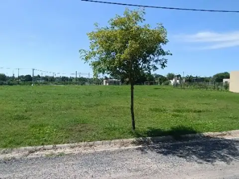 LOTE EN VENTA EN PUEBLO ESTHER. TIERRA DE AUTORES