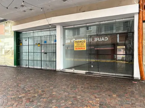 ALQUILER LOCAL COMERCIAL SAN BERNARDO