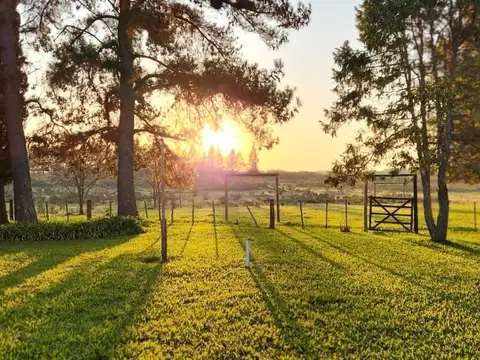Campo en Venta en Concepcion del Uruguay, Uruguay