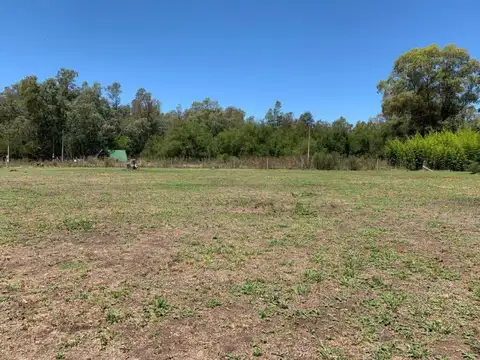 Terreno en Venta de 300,0 m2